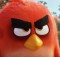 Angry Birds