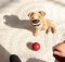 The Present by Jacob Frey
