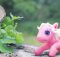 Pegasino at the Common