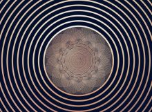 Symmetry by Kevin Mcgloughlin