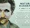 Natural Disaster by Joseph Wallace